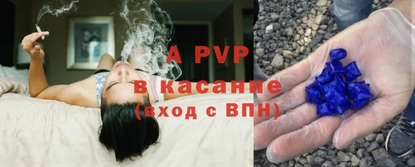 крисы Кущёвская