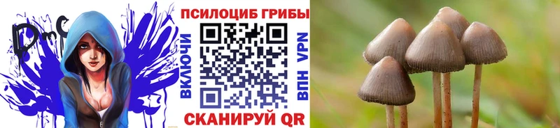 Галлюциногенные грибы прущие грибы это какой сайт Нолинск